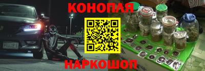 индика Ликино-Дулёво