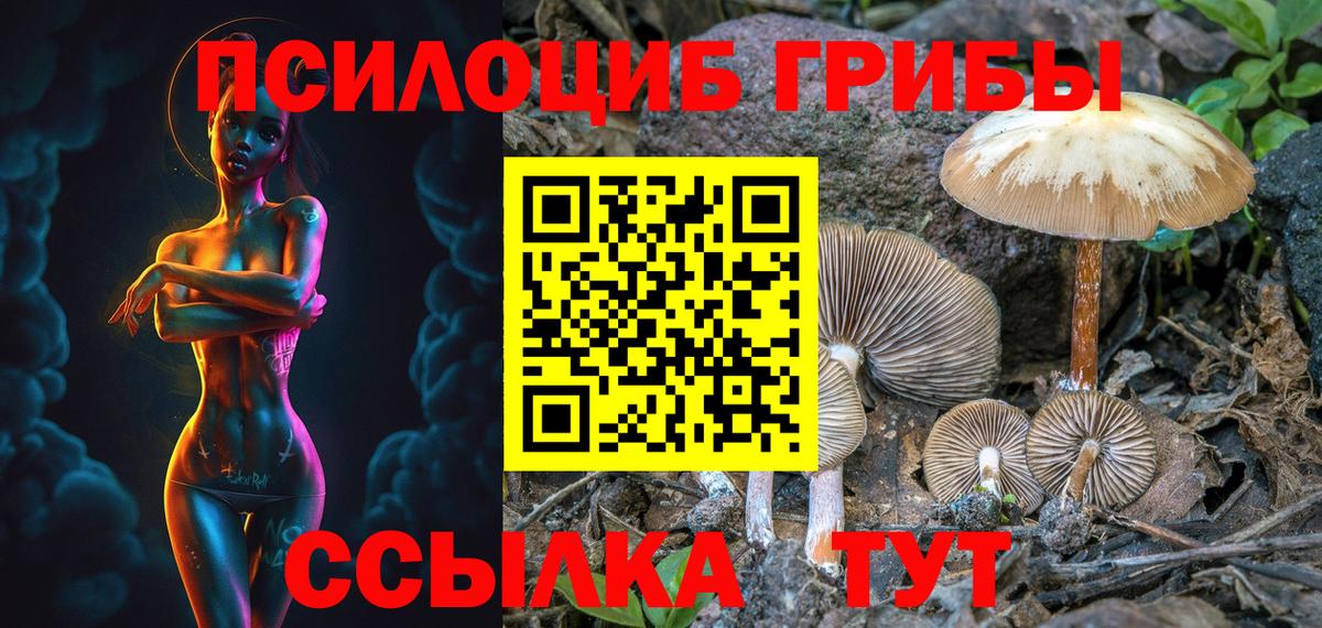 Псилоцибиновые грибы ЛСД Черногорск